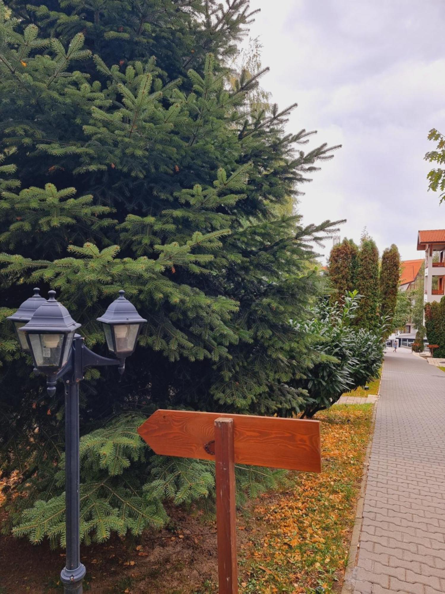 Pirin Deluxe Apartment *